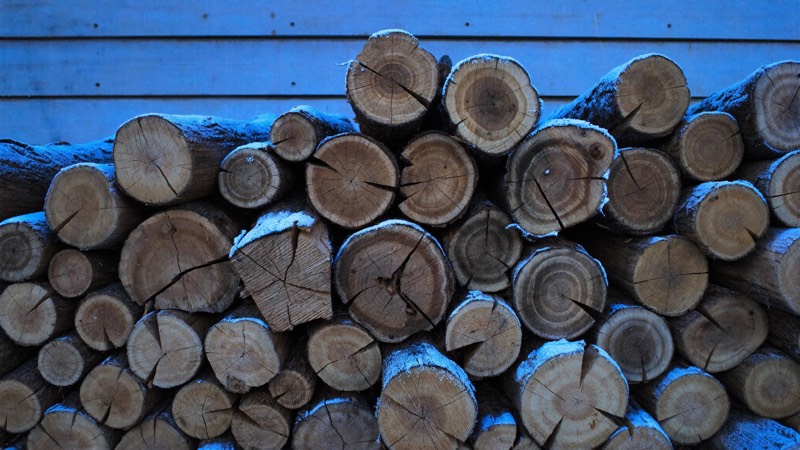 Illustration : sections de bûches de bois de chauffage